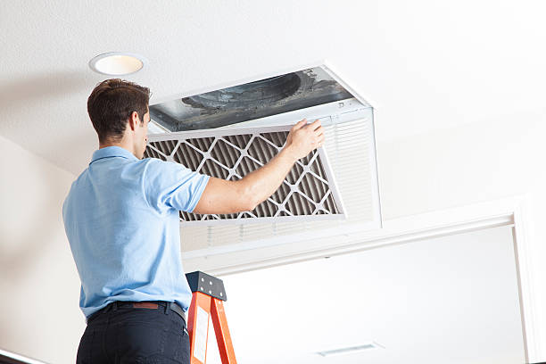 Best Local HVAC companies  in Randolph, NE